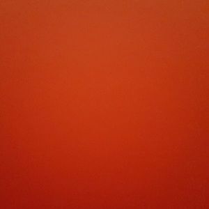 Meet your Posher, Liz