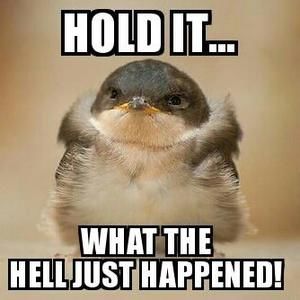 Meet your Posher, Lorraine