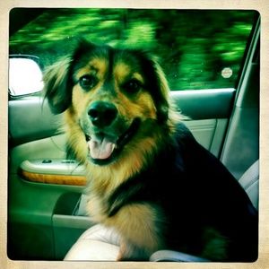 Meet your Posher, Jennifer