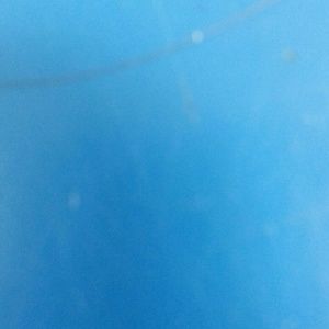 Meet your Posher, Bridgett