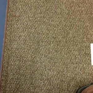 Meet your Posher, Leanna