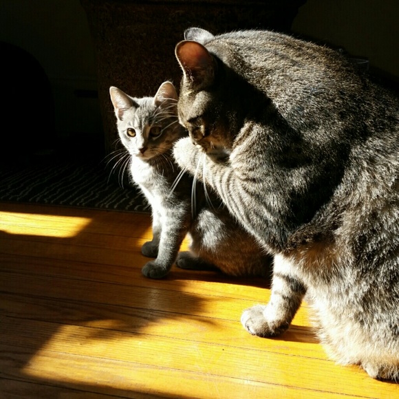 Meet your Posher, Rebekah