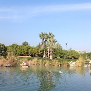 Meet your Posher, Aliya