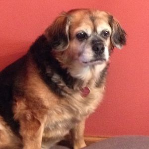 Meet your Posher, Ann