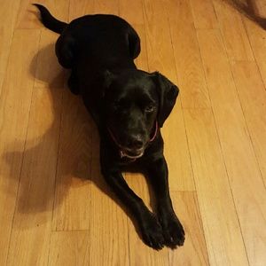 Meet your Posher, Grace