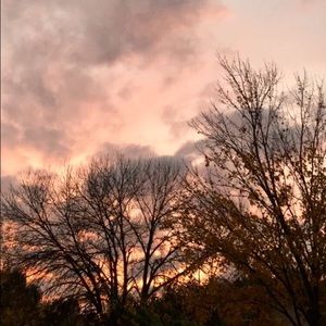 Meet your Posher, Miranda