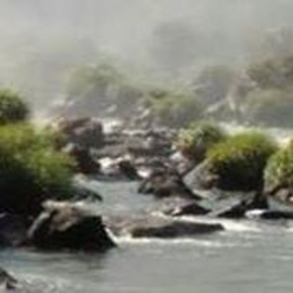 Meet your Posher, Nichole - Picture 1 of 1