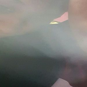 Meet your Posher, Cheyenne