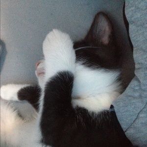 Meet your Posher, Steven