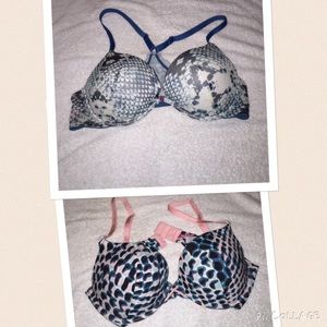 38B cosmopolitan bra