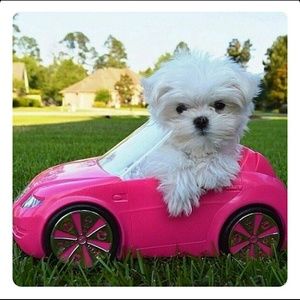 Meet your Posher, April