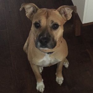 Meet your Posher, Mitzi