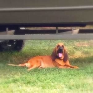 Meet your Posher, Jennifer