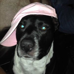 Meet your Posher, Pat