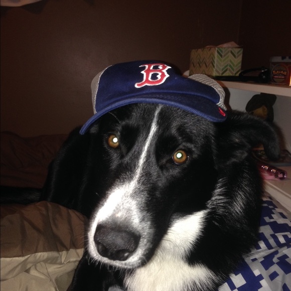 Meet your Posher, Kelly - Picture 1 of 1