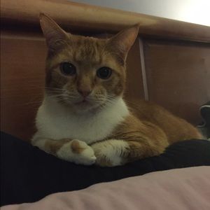 Meet your Posher, Aj