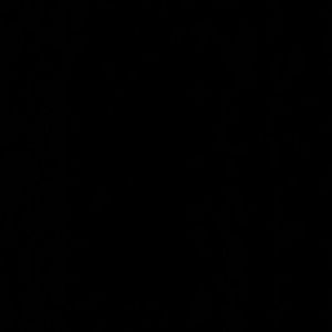 Meet your Posher, Jen