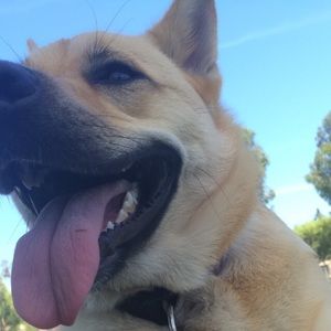 Meet your Posher, Amada