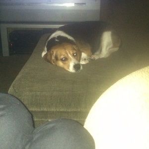 Meet your Posher, Lori