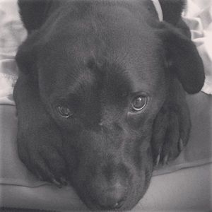 Meet your Posher, Jenny