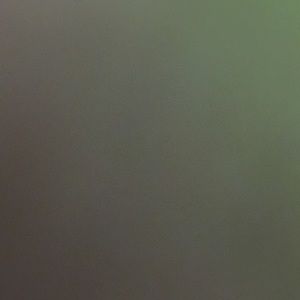 Meet your Posher, Maddie