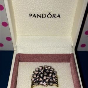 Silver Pandora ring