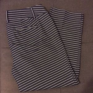 LOFT Julie Size 4 NWOT