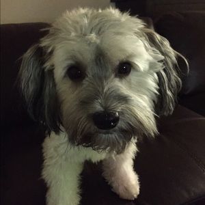 Meet your Posher, Sally