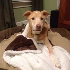 Meet your Posher, Becky