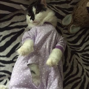 Meet your Posher, Ally