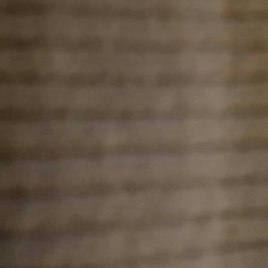 Meet your Posher, Tommy