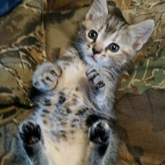 Meet your Posher, Sally