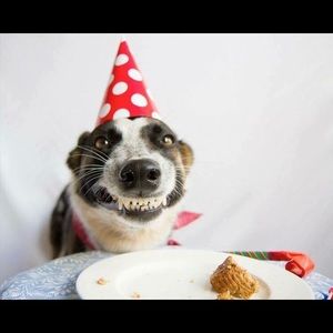 Meet your Posher, Robert