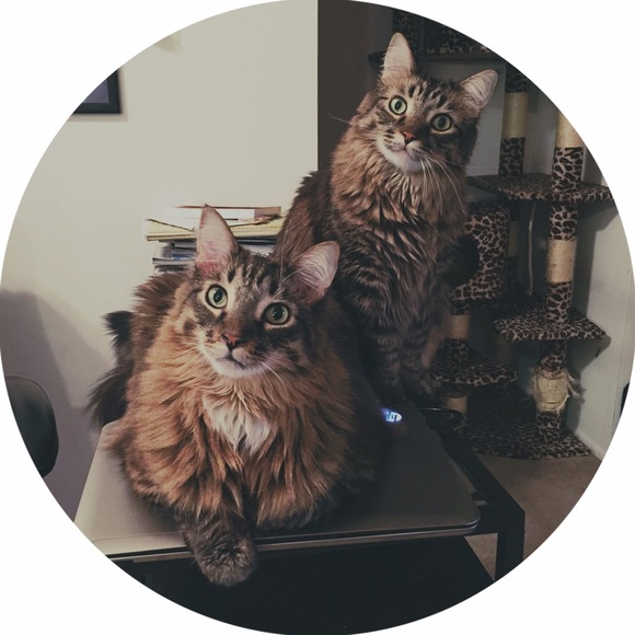 Meet your Posher, Riki - Picture 2 of 2