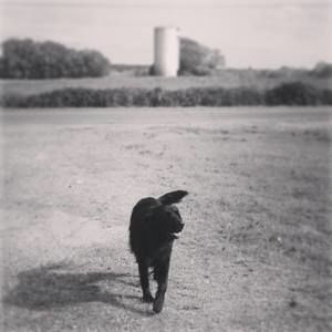 Meet your Posher, Leslie