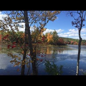 Meet your Posher, Yolanda