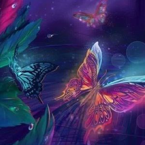 Meet your Posher, Kim