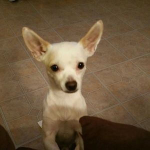 Meet your Posher, Cry