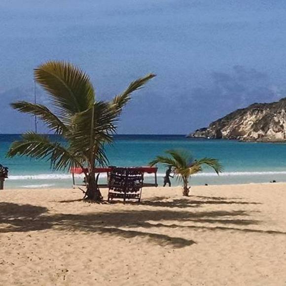 Meet your Posher, Cortney - Picture 1 of 1