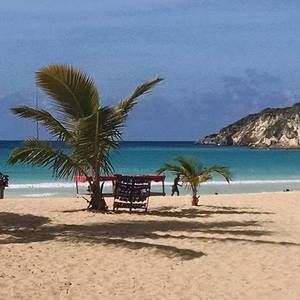 Meet your Posher, Cortney