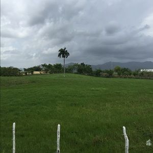 Meet your Posher, Chelsea