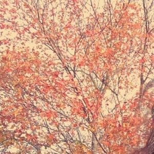 Meet your Posher, Ada