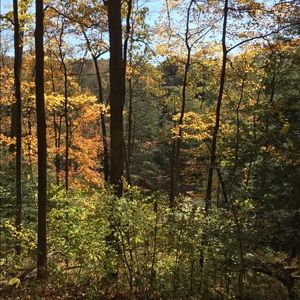 Meet your Posher, Abbey