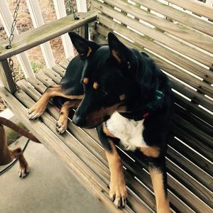 Meet your Posher, Forrest kelli