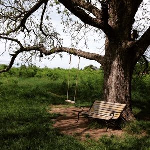 Meet your Posher, Demi