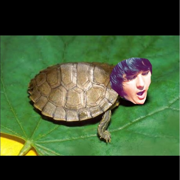 Meet your Posher, Autumn - Picture 1 of 1