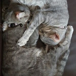 Meet your Posher, Erin