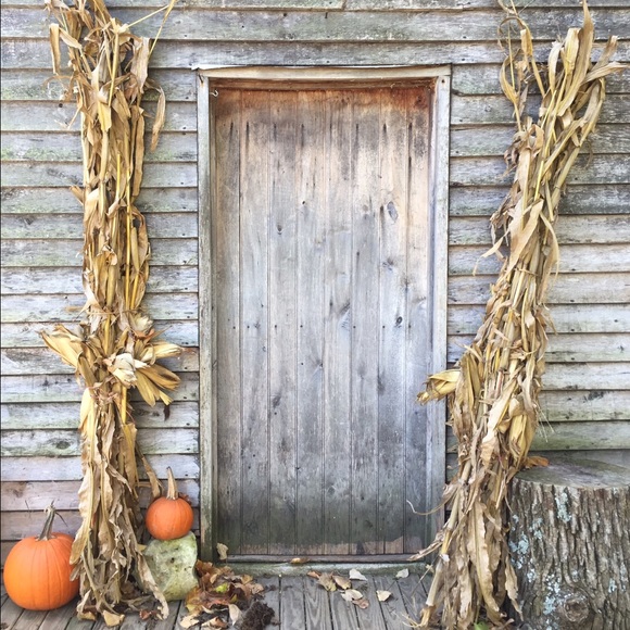 Meet your Posher, Kaylee - Picture 1 of 1