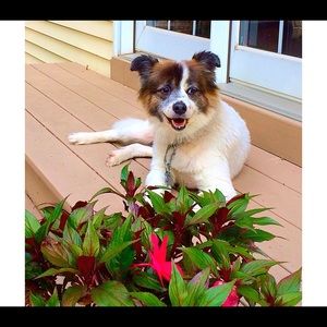 Meet your Posher, Nicki