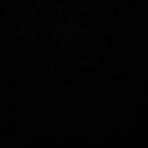 Meet your Posher, Anaa